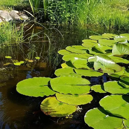 Wunderschoenes In Fichtenwalde Mit Grossem Garten Hébergement de vacances Beelitz